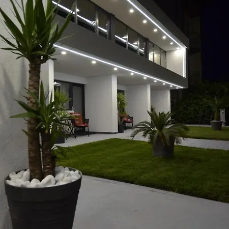 Caelia קוסטינסטי